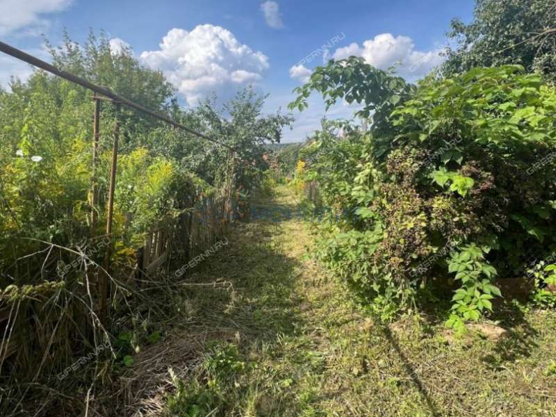 земельный участок 1 056 соток Центральная улица село Федяково